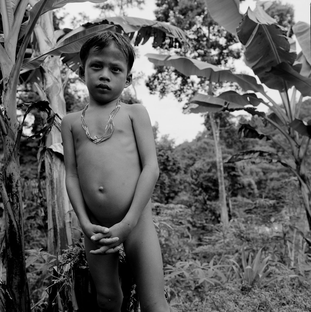 1borneo_oct_2001_sheet_40470_neg_10