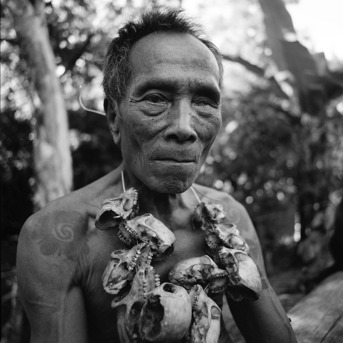 1borneo_sept_1999_sheet_40269_neg_6_rt