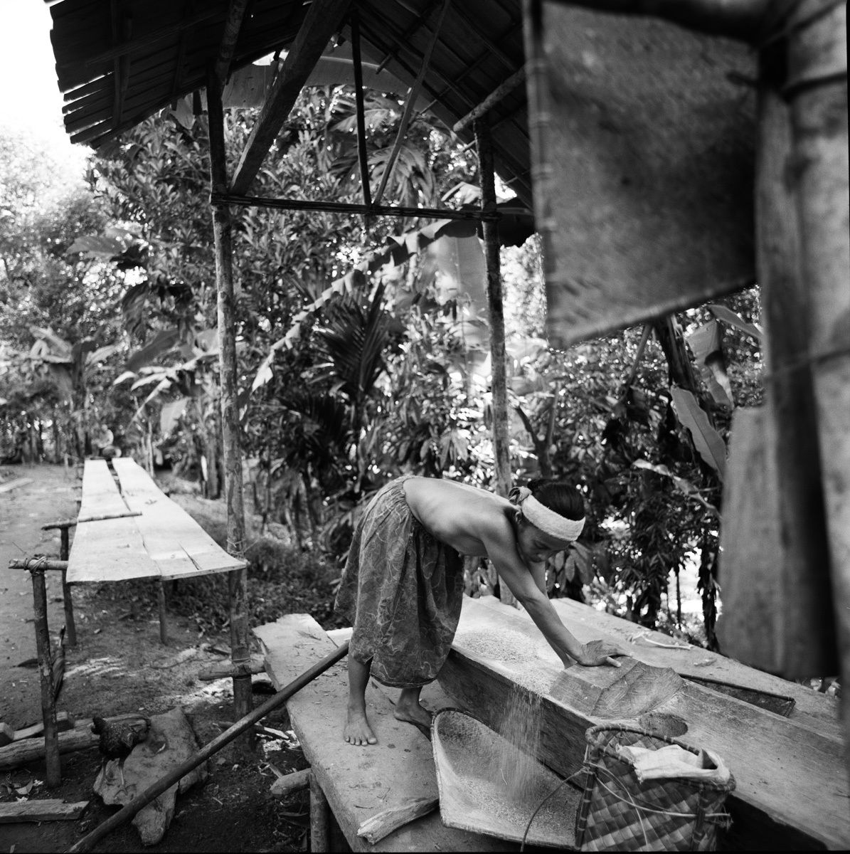 1borneo_sept_1999_sheet_40279_neg_10_rt