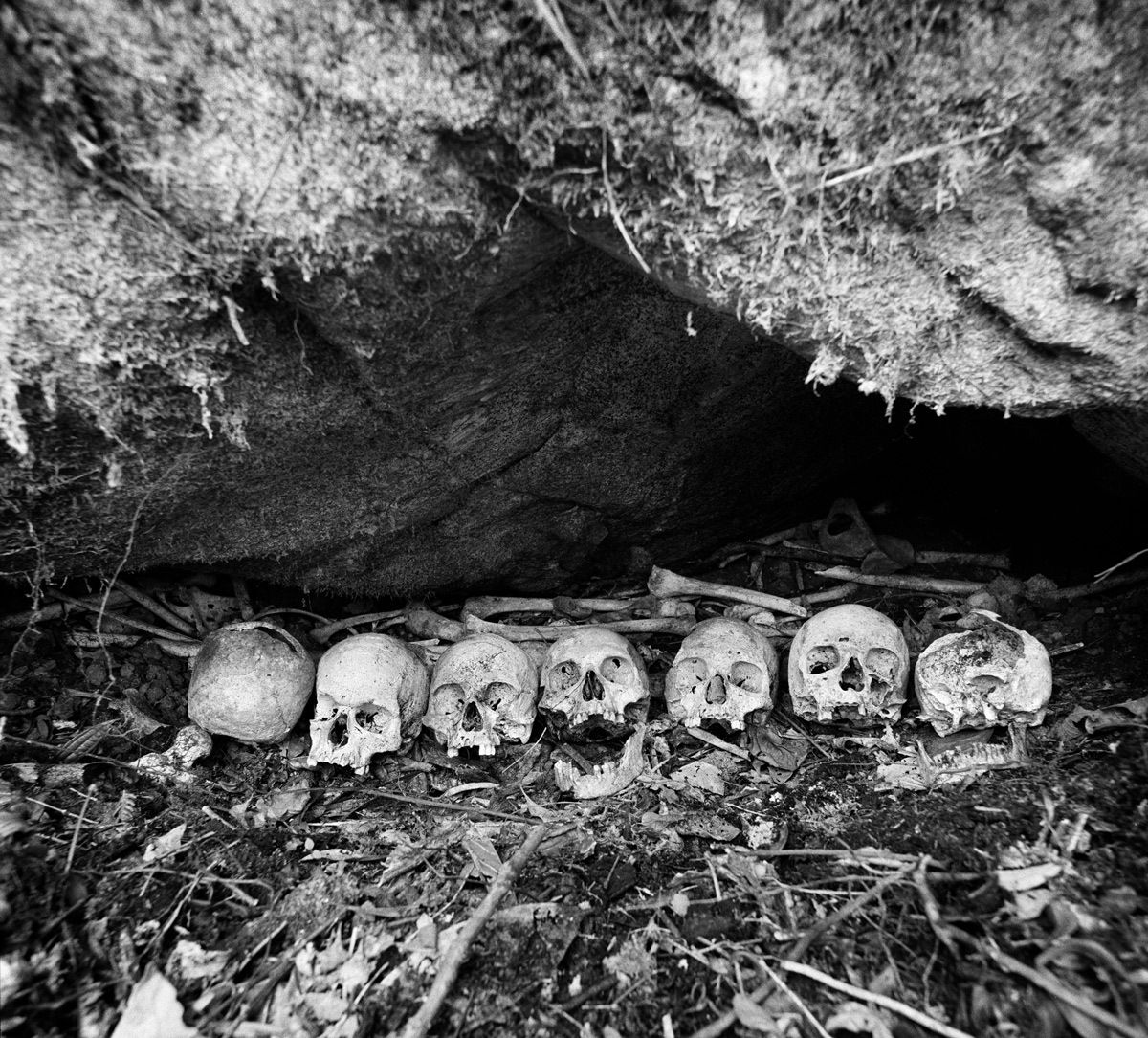 1png_nov_1997_sheet_40592_neg_8_rt