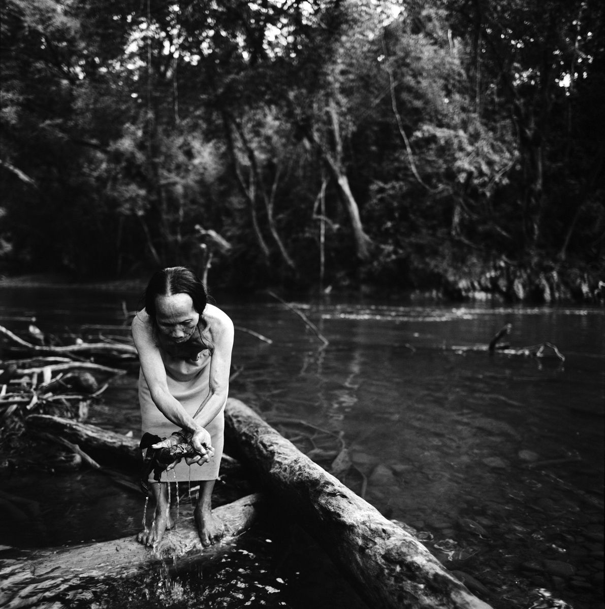 1borneo_oct_2001_sheet_40368_neg_1_rt