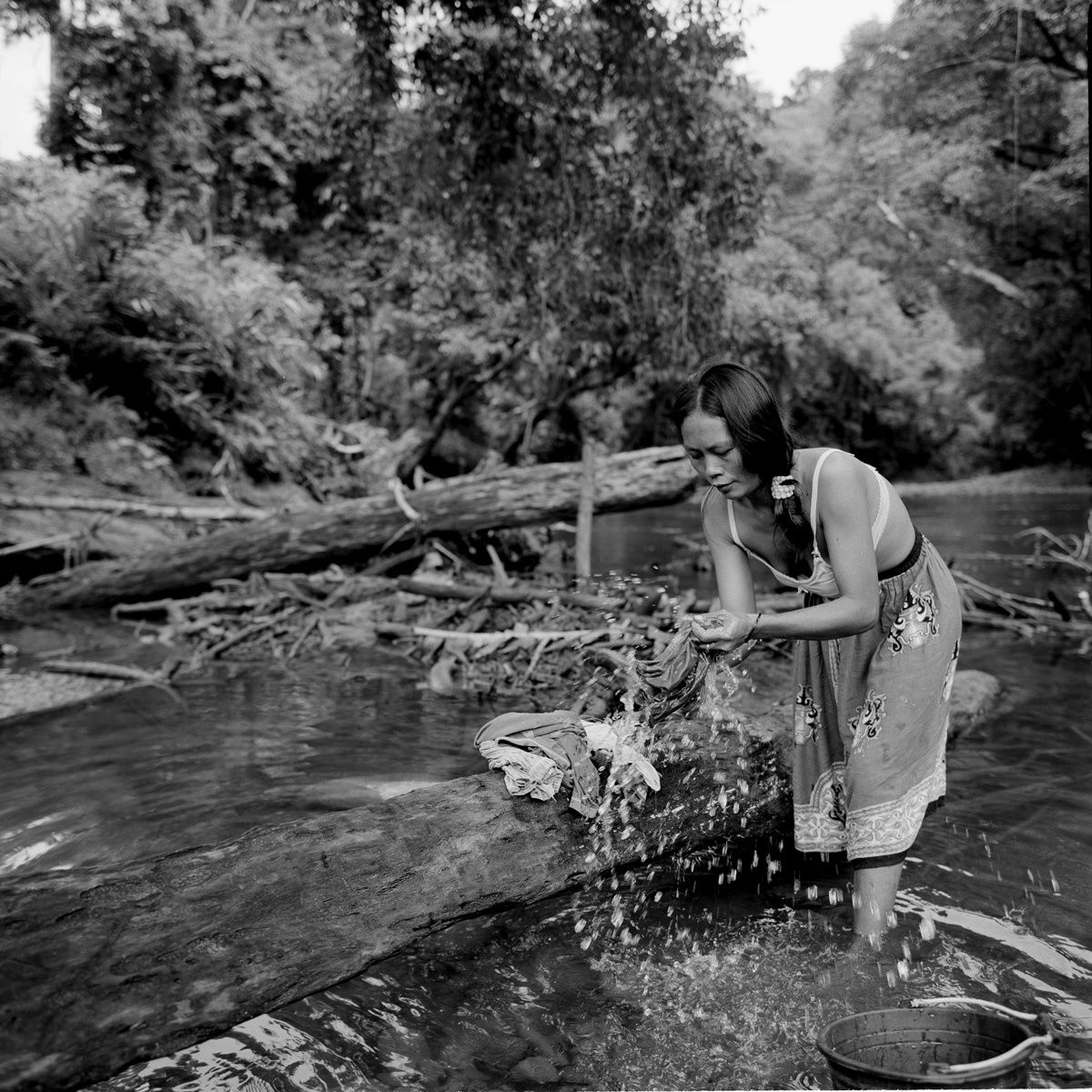1borneo_oct_2001_sheet_40238_neg_10