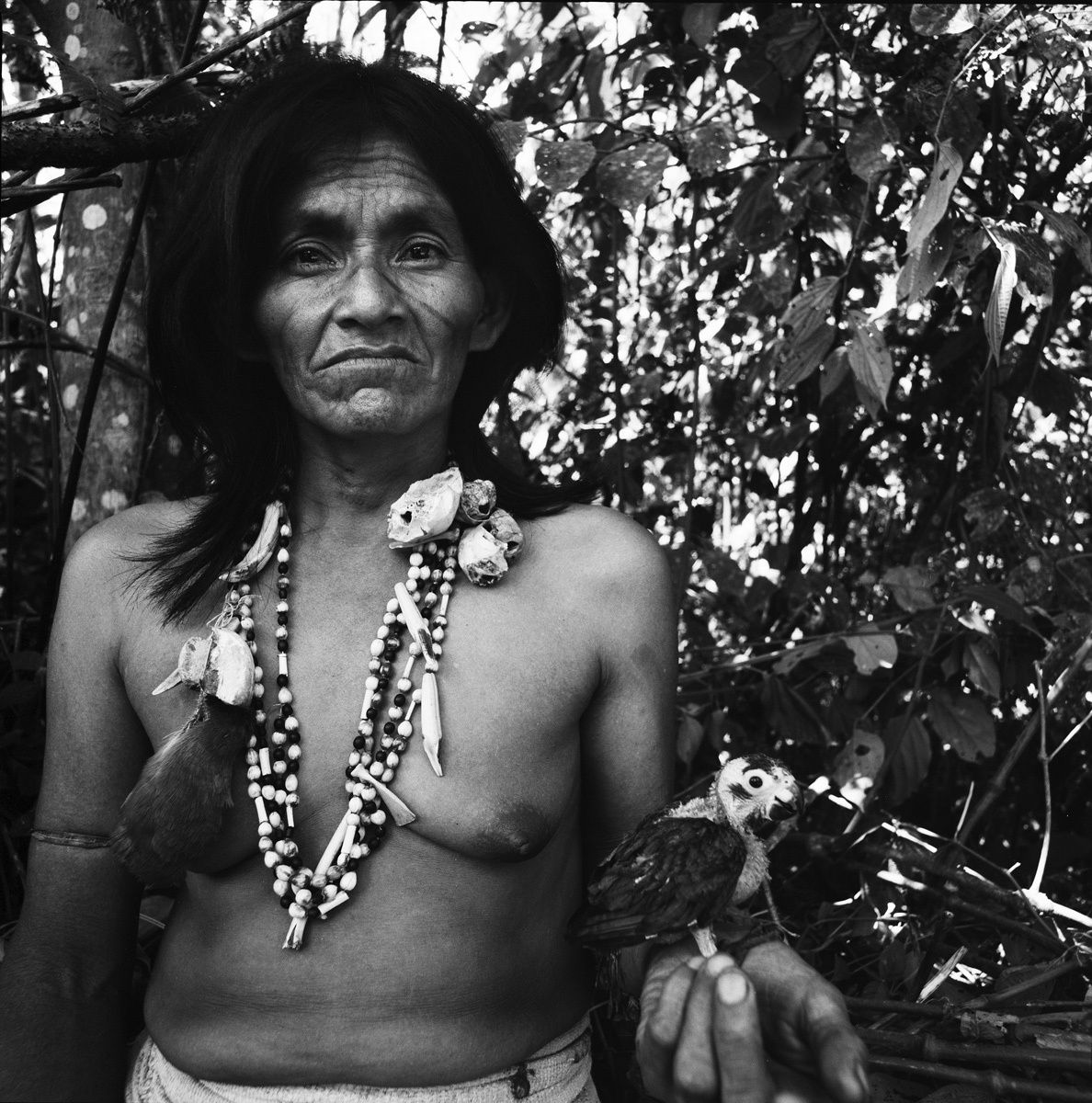 1peru_2003_sheet_3_neg_6_rt