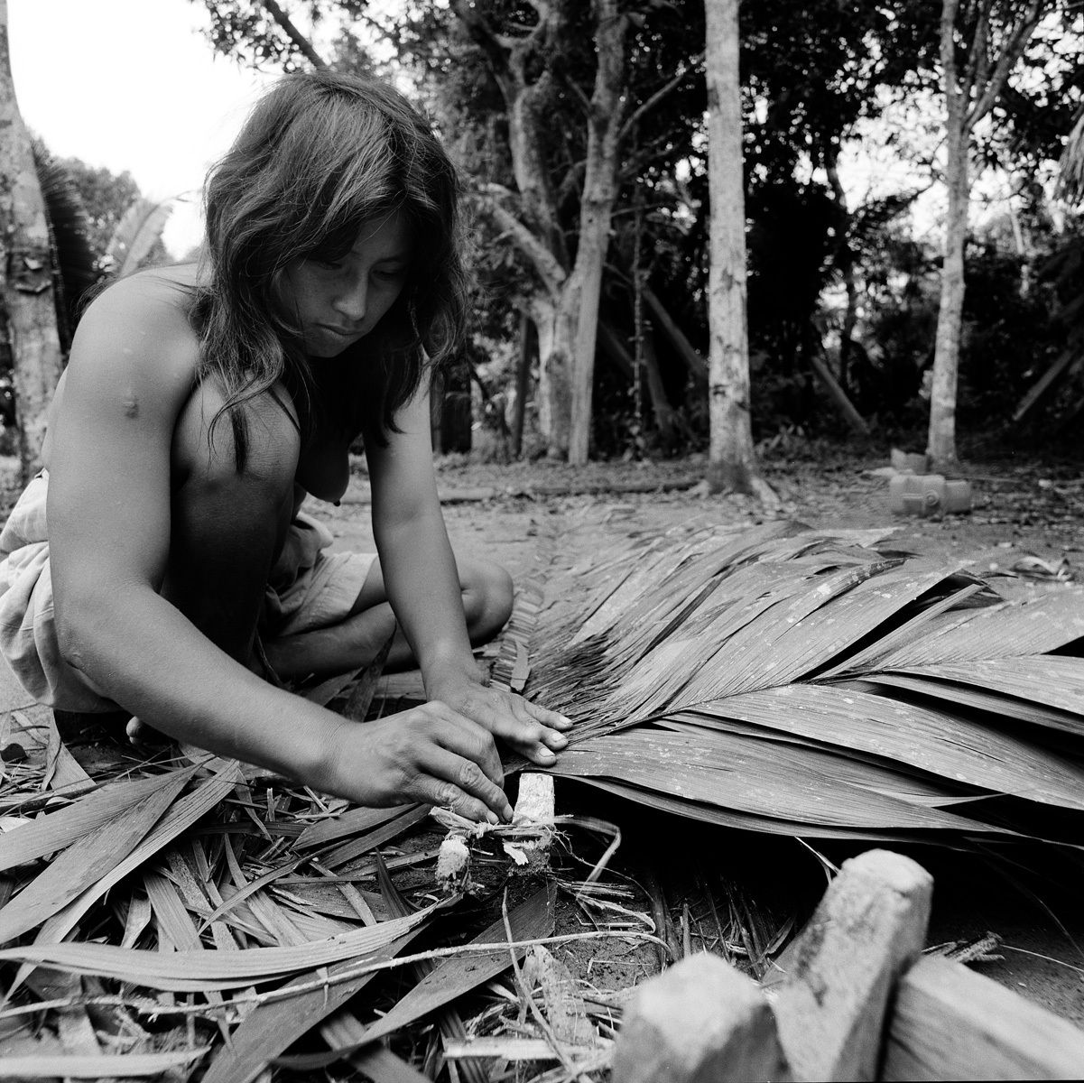 1peru_2003_sheet_1034_neg_9_rt