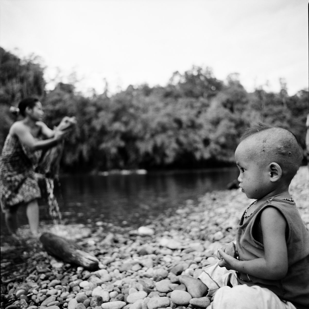 1borneo_sept_1999_sheet_40334_neg_7_rt