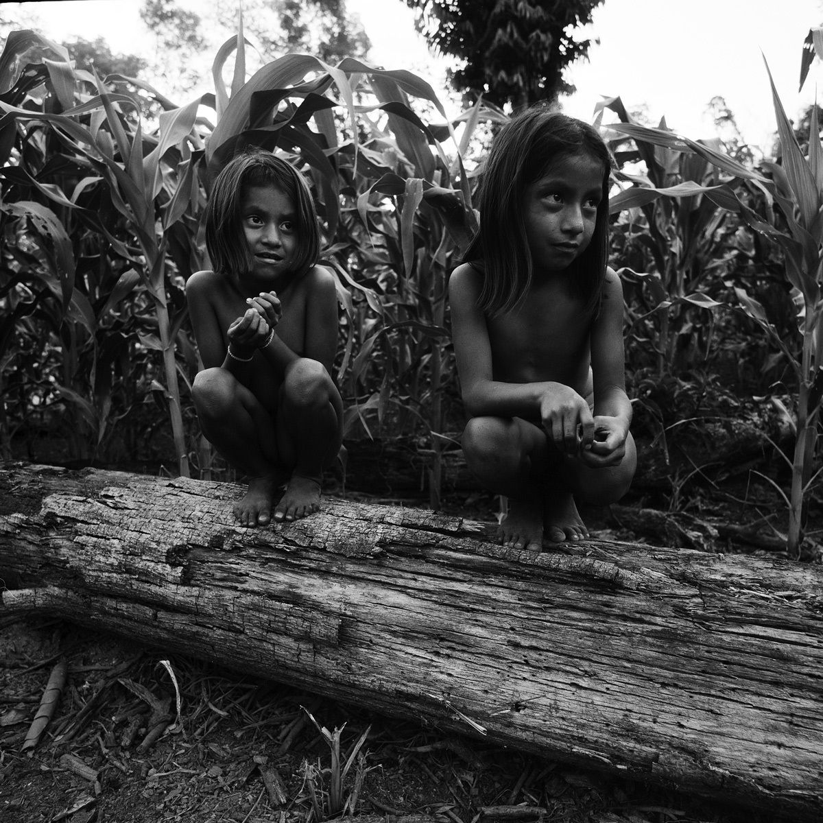 1peru_2003_sheet_225_neg_12_rt