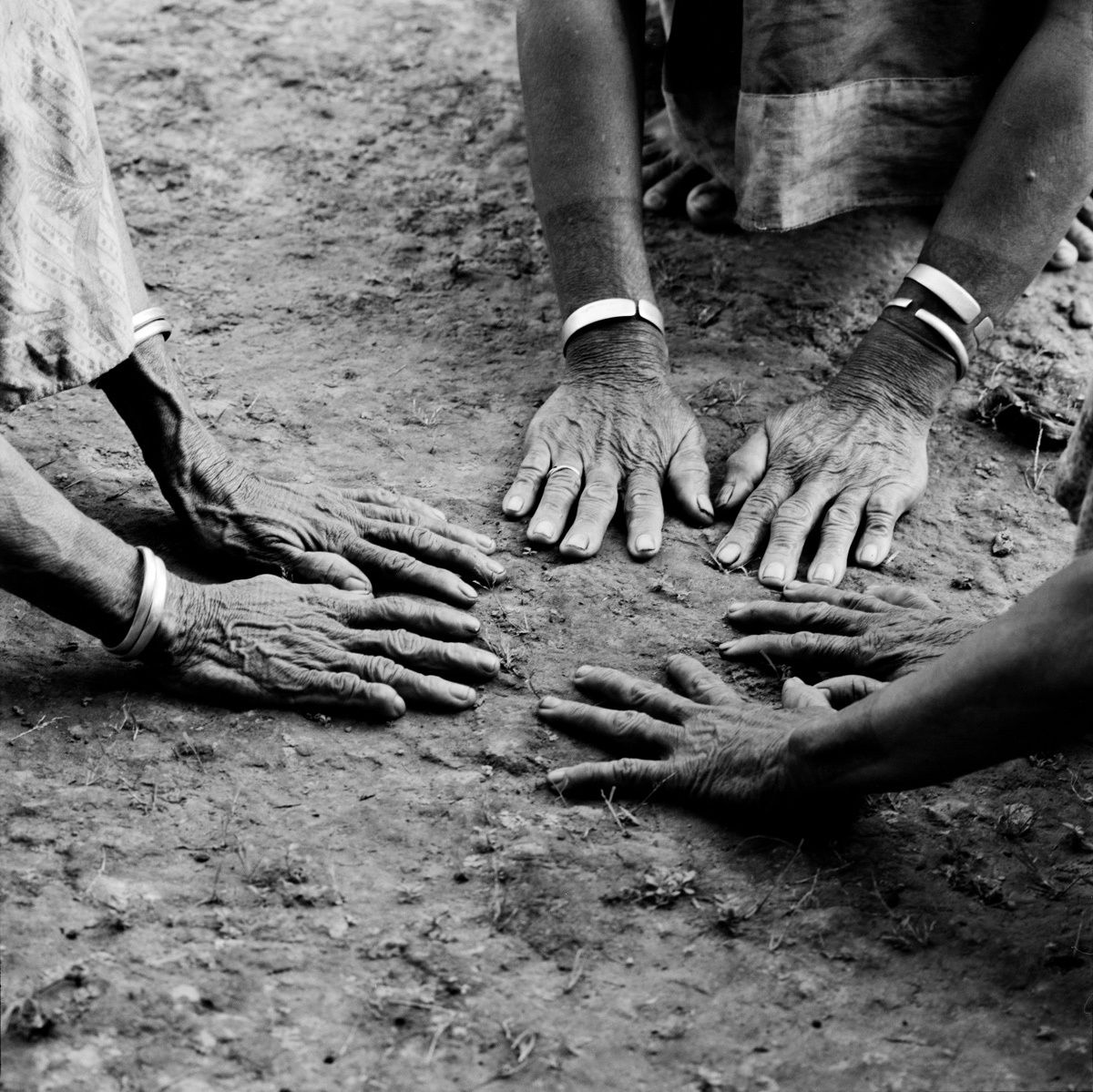 1borneo_1999_sheet_40450_neg_9_rt