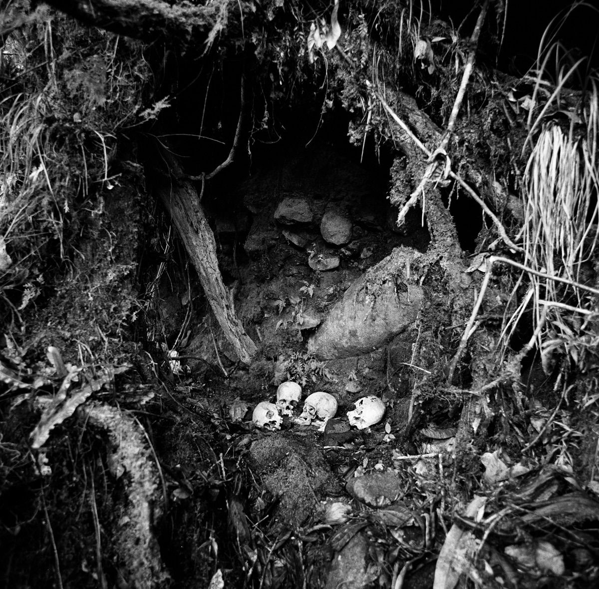 1png_nov_1997_sheet_40653_neg_4_rt