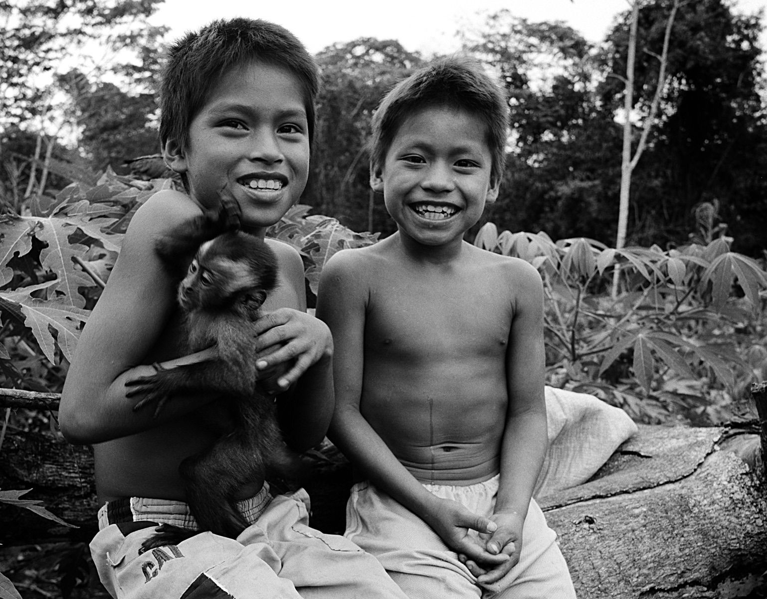 1peru_2003_sheet_1026_neg_10_rt