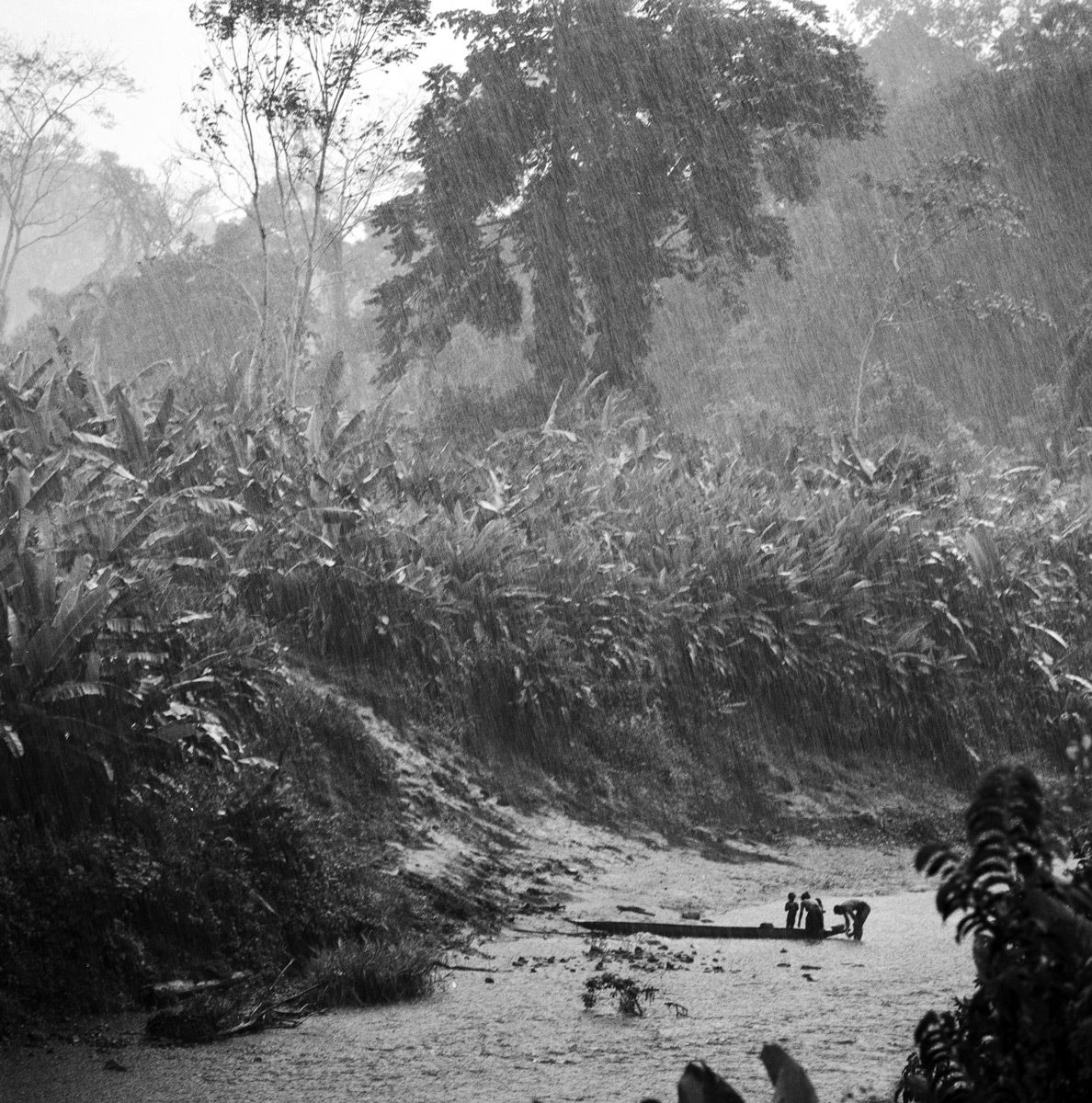 1panama_el_darien_gap_feb_1990_sheet_42929_neg_15_rt_2