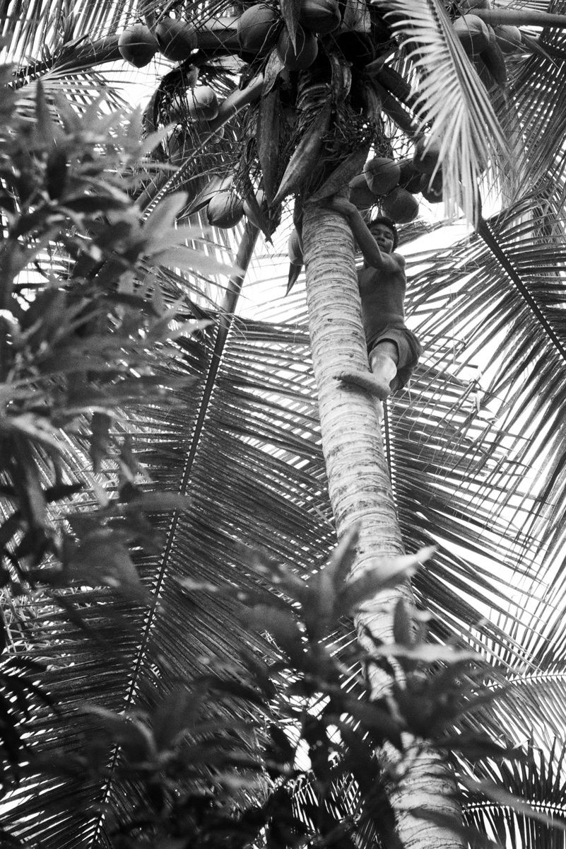 1panama_el_darien_gap_feb_1990_sheet_42893_neg_28_rt