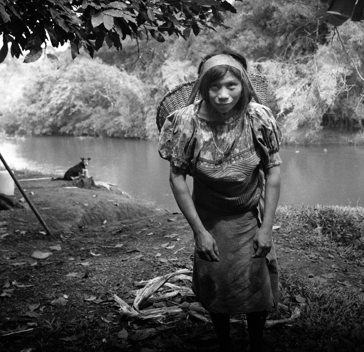 1panama_el_darien_gap_feb_1990_sheet_42882_neg_10_rt