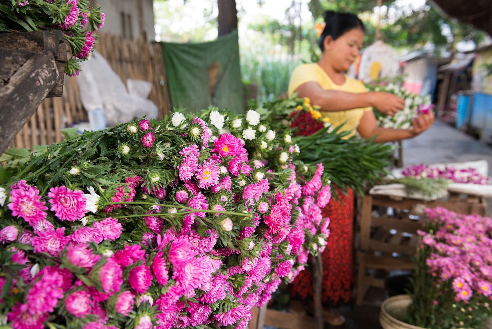 1p03_krista_rossow_travel_location_photographer