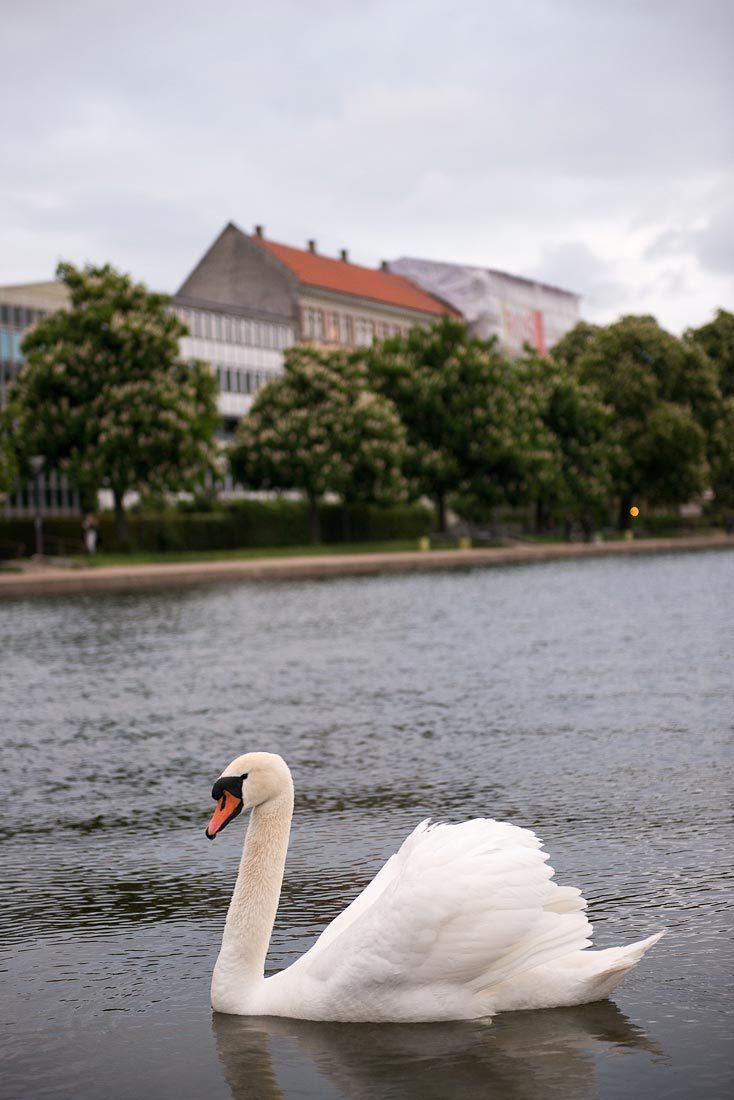 1p22_krista_rossow_travel_location_photographer