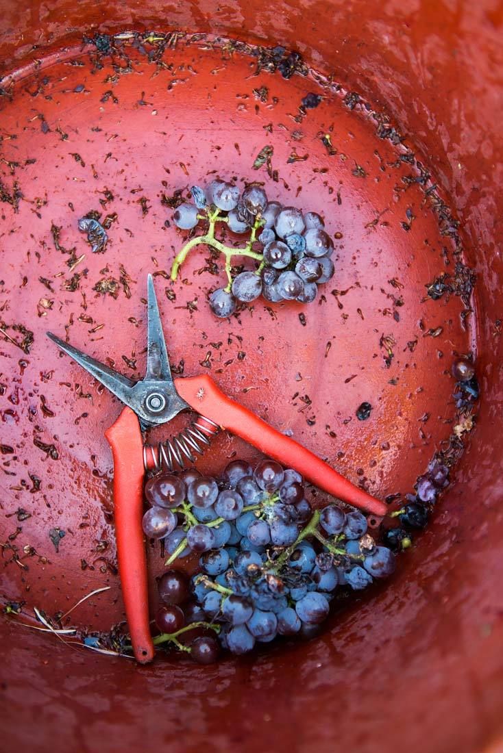 1e19_krista_rossow_food_restaurant_photographer