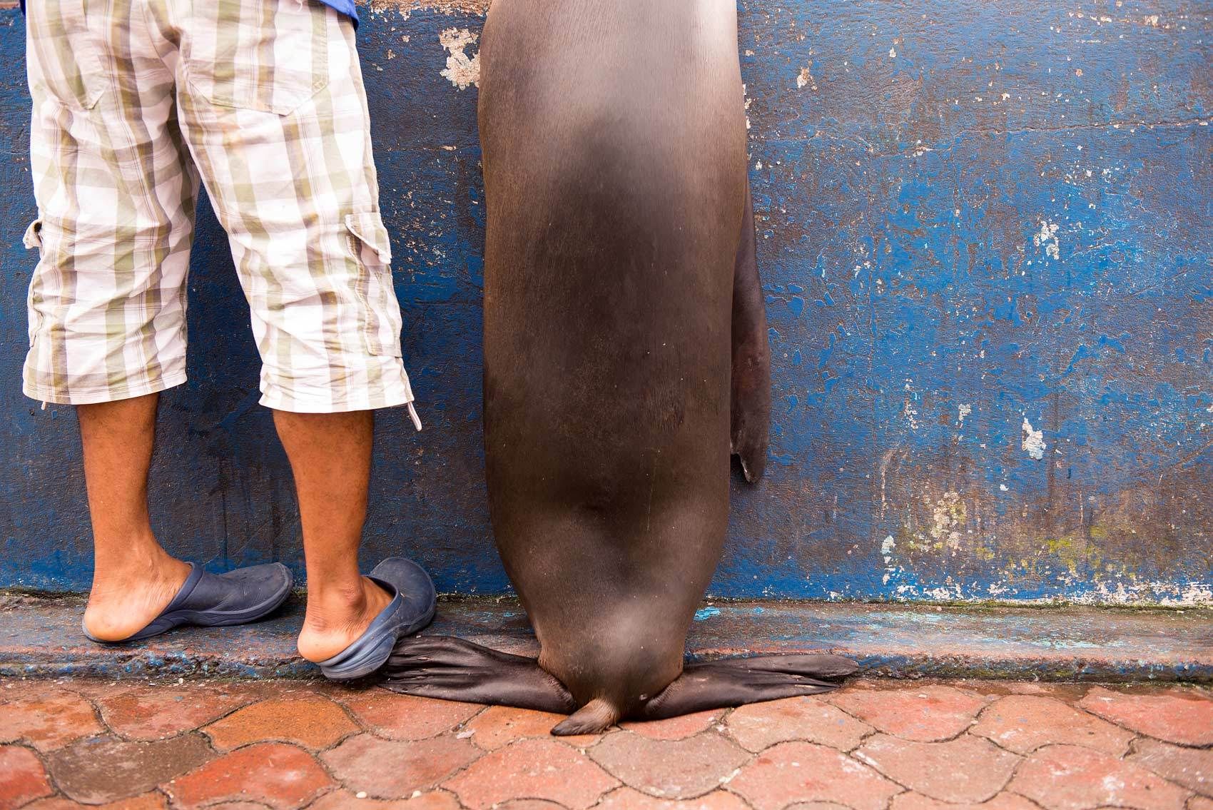 1l11_krista_rossow_lifestyle_photographer