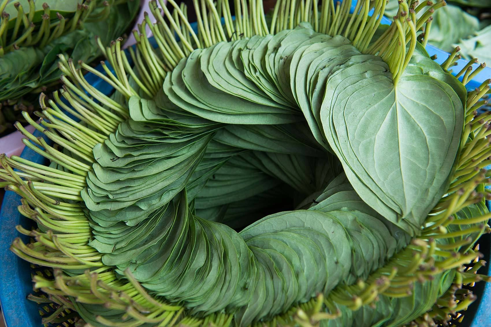 1p13_krista_rossow_travel_location_photographer