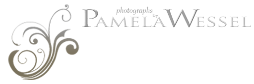 photography by Pamela Wessel