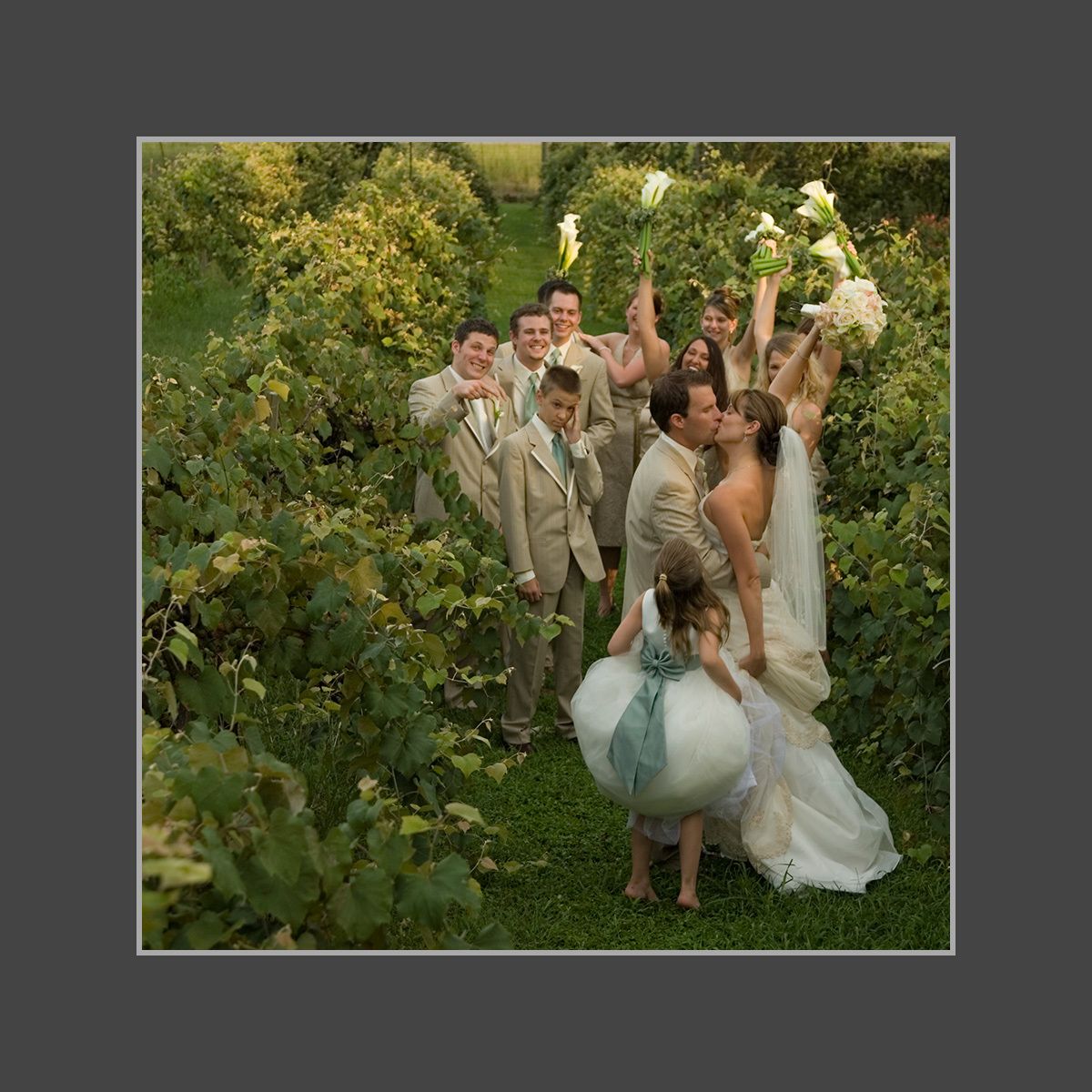 Vineyard Wedding