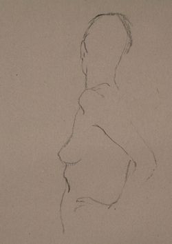 Drawing 8.  Back view