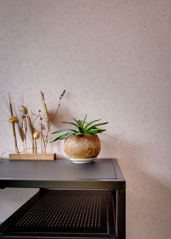 Villeneuvestraat (7 van 38).jpg