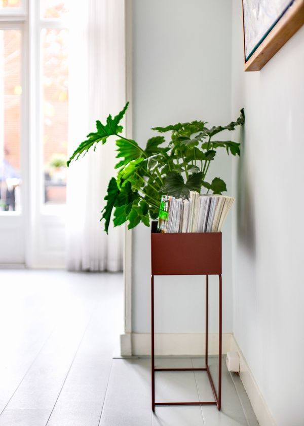 Tweede Schuystraat 116 Den Haag (15 van 26).jpg