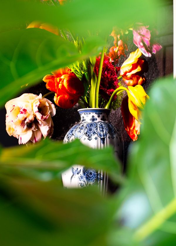 Fam. Tulner - low res (21 van 51).jpg