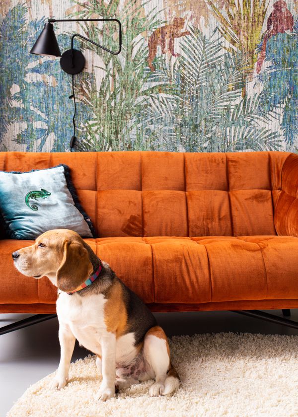 Tweede Schuystraat 116 Den Haag (23 van 26).jpg