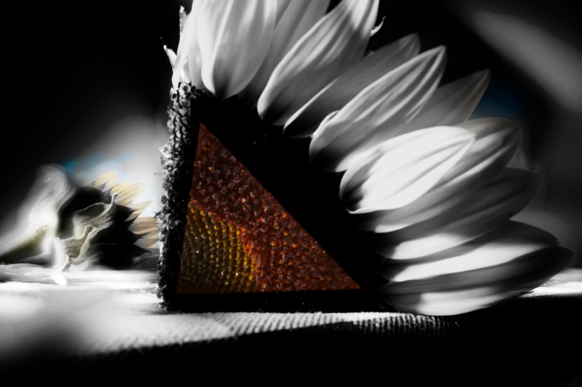 Found Objects One-5.jpg