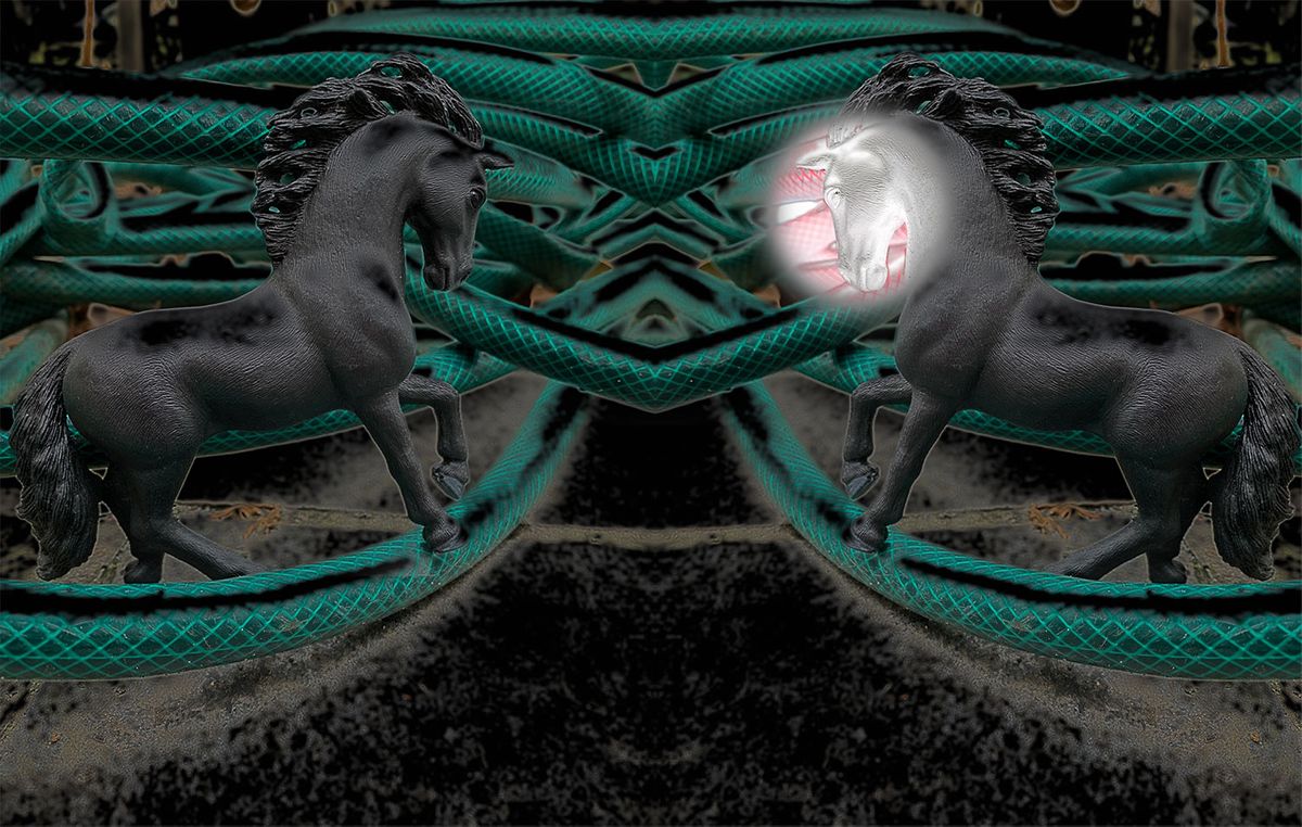 Mental-REflection.1.jpg