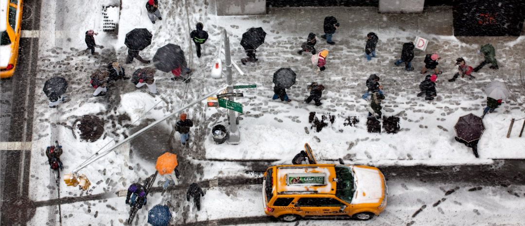 snow prints.master.jpg