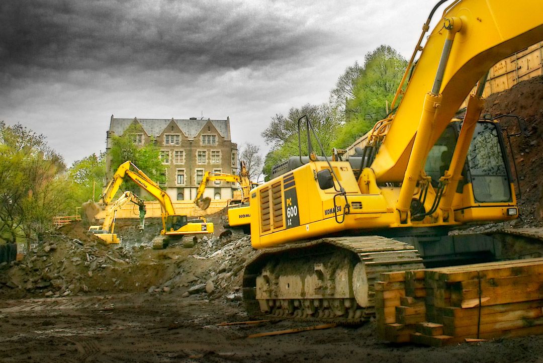 rose garden.master.jpg