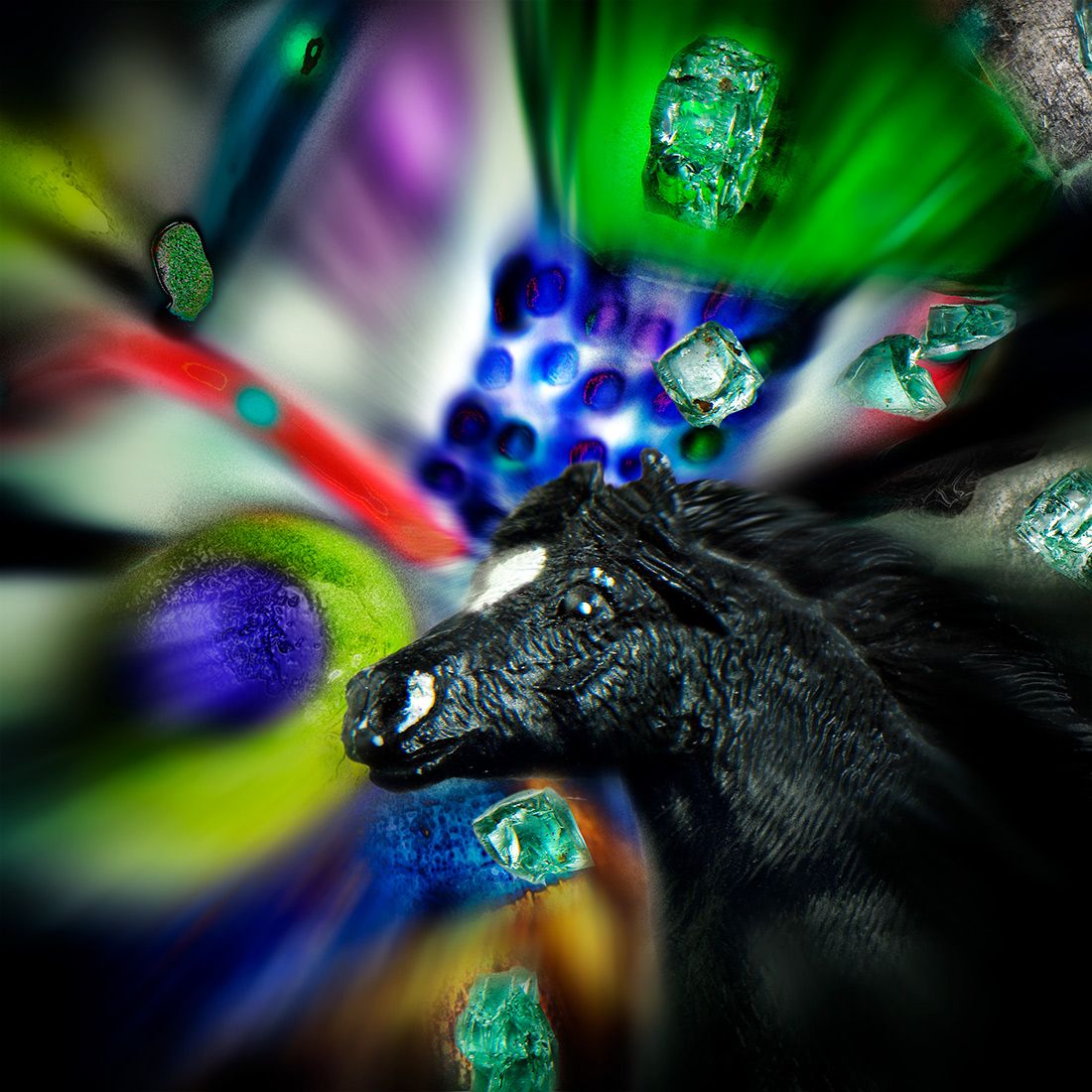 Horse-in-space.1X-May-26.1.jpg