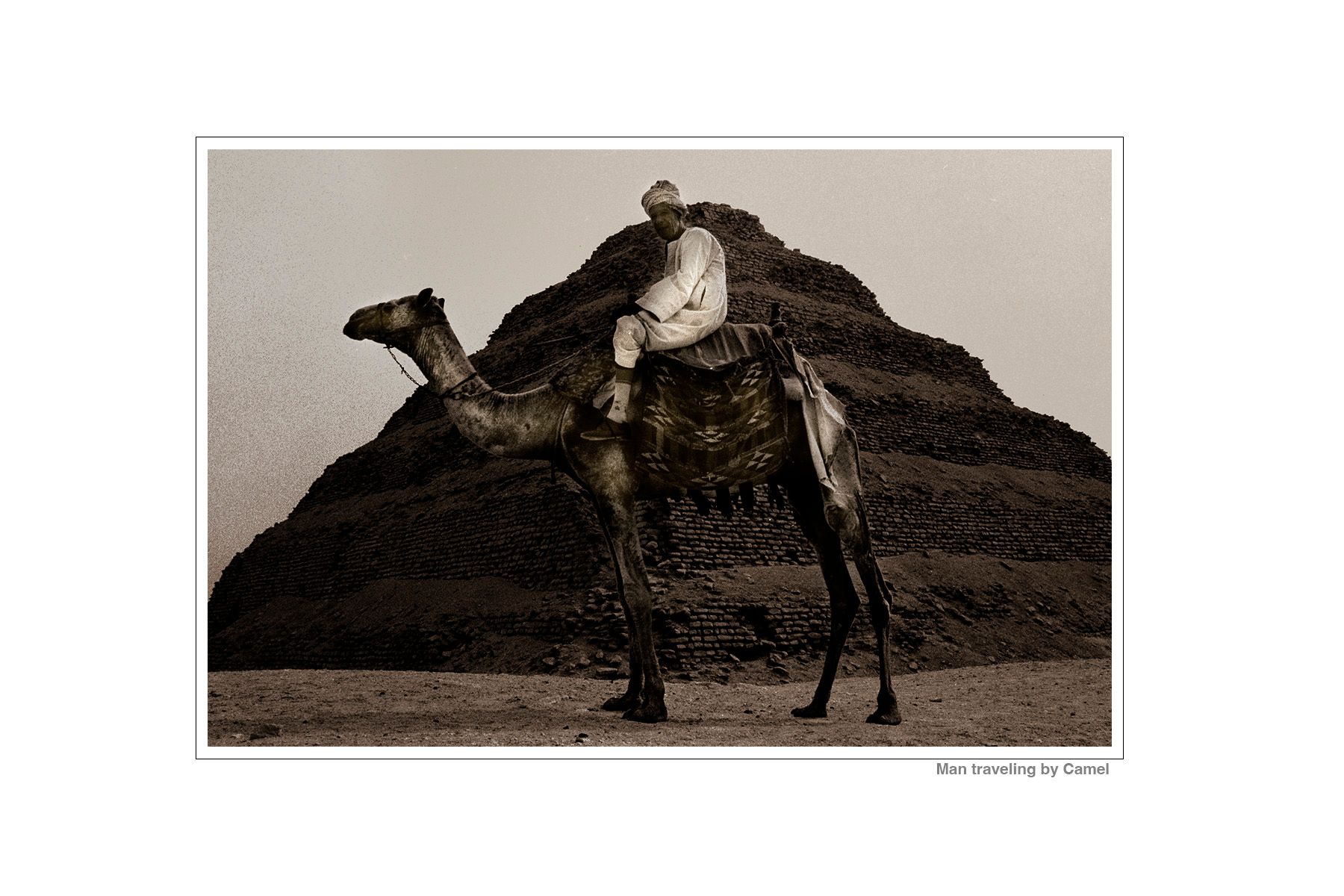 Man travelling by Camel.jpg