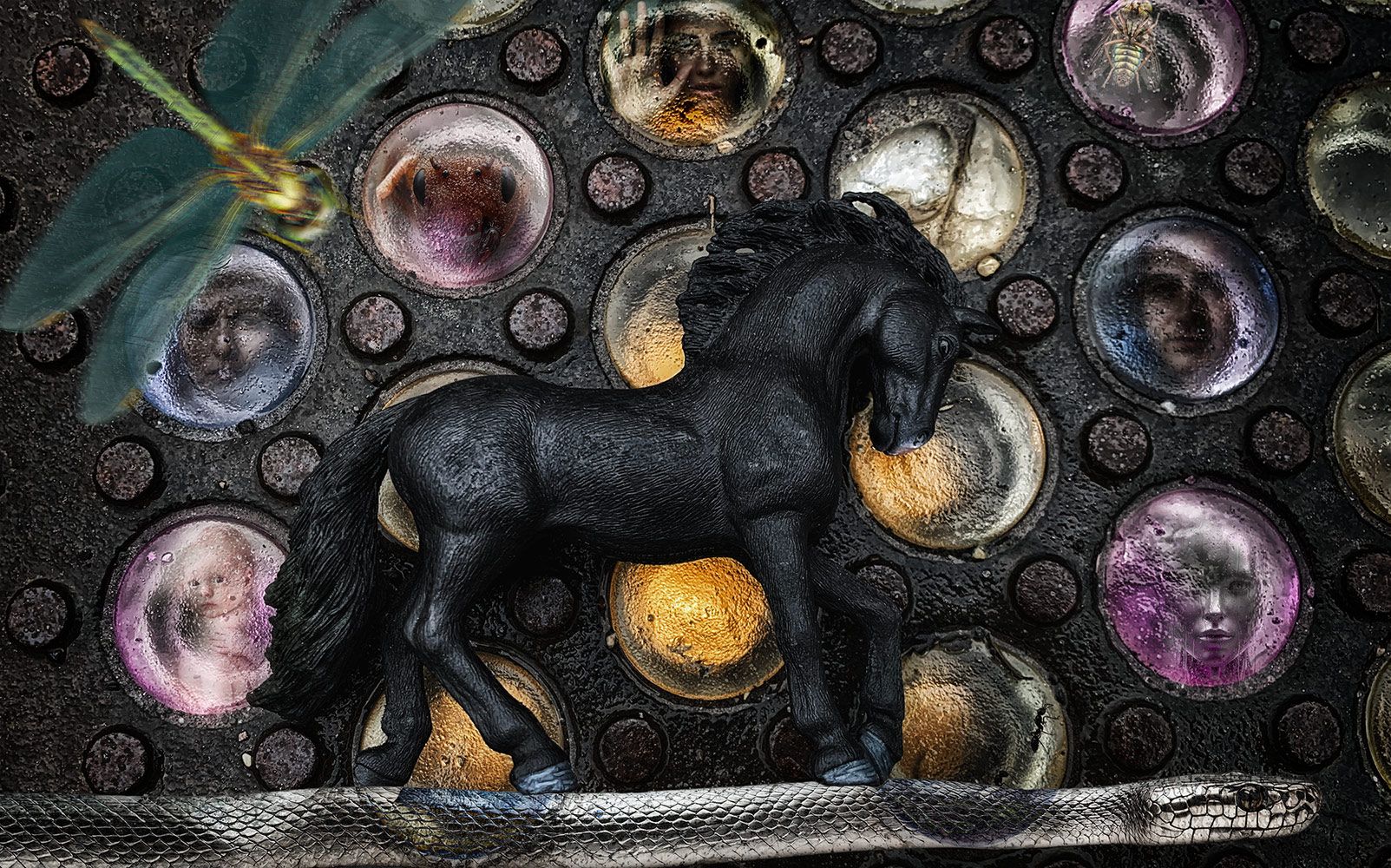 A-pony-tale-10cp.jpg
