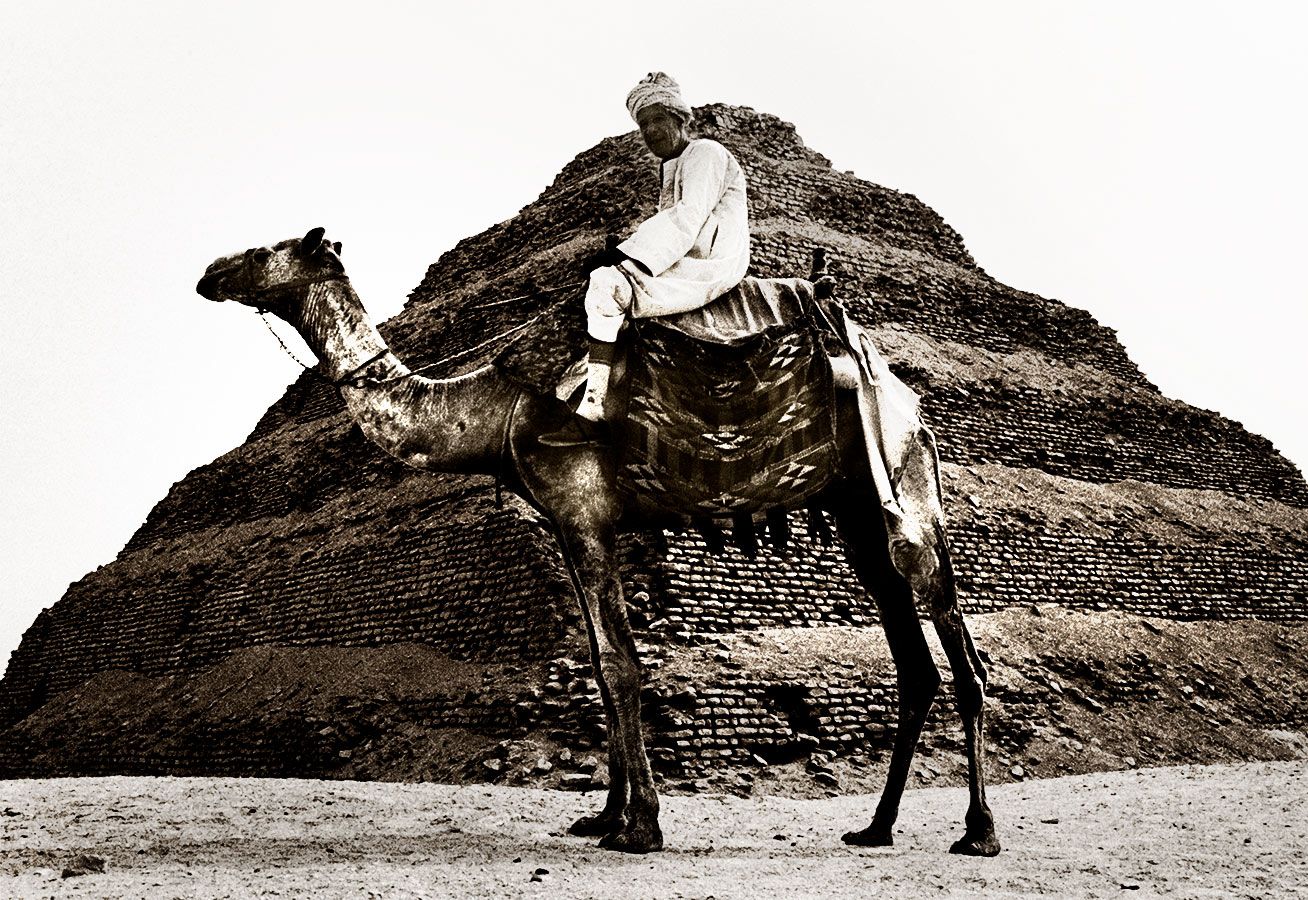 camel-man-flat1a..jpg