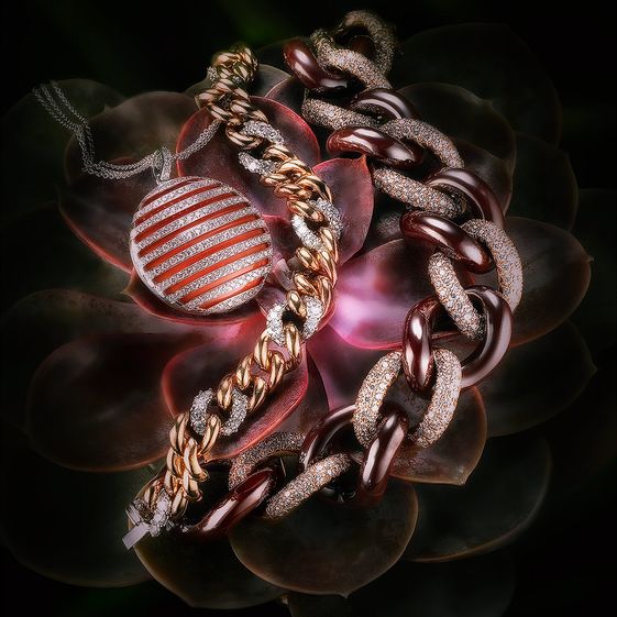plant.1.1X.jpg