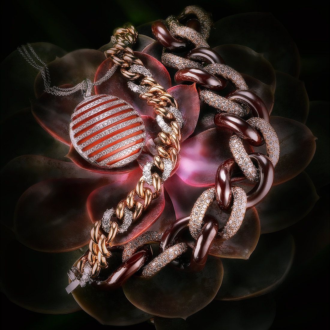 plant.1.1X.jpg