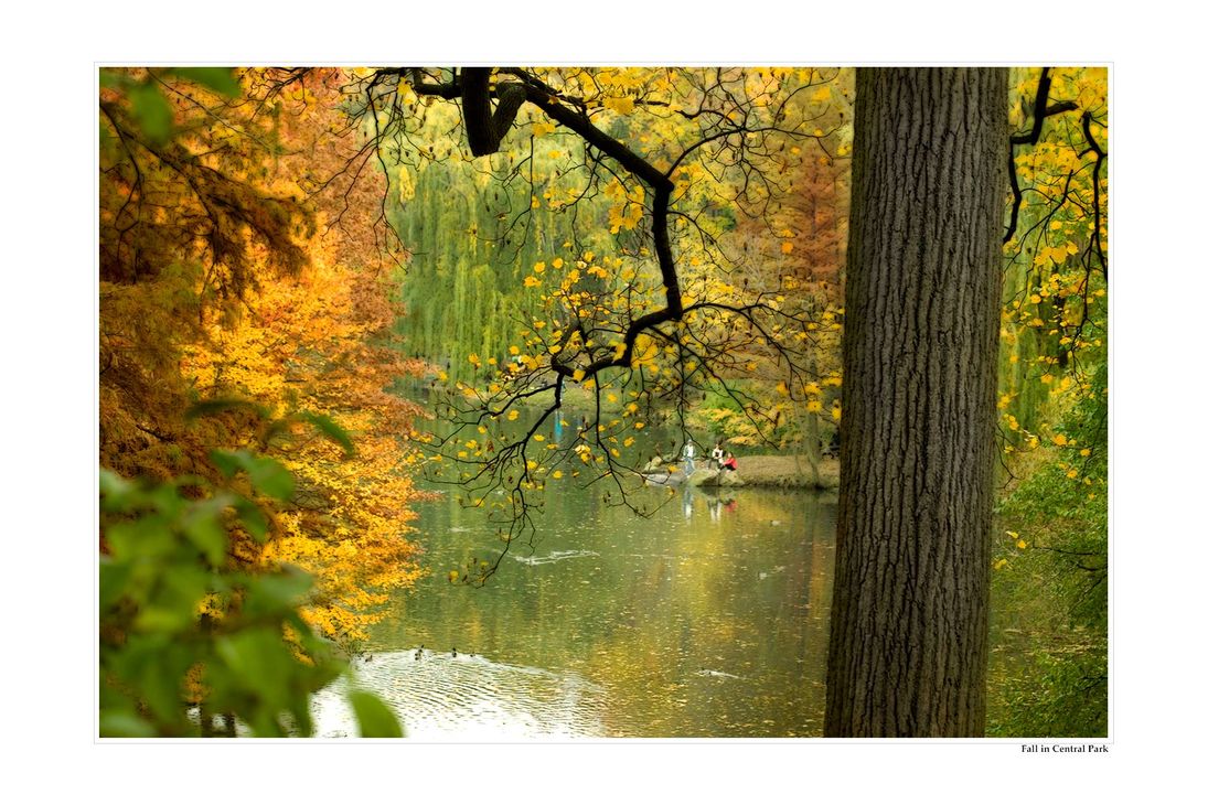 Fall-in-central-Park.jpg