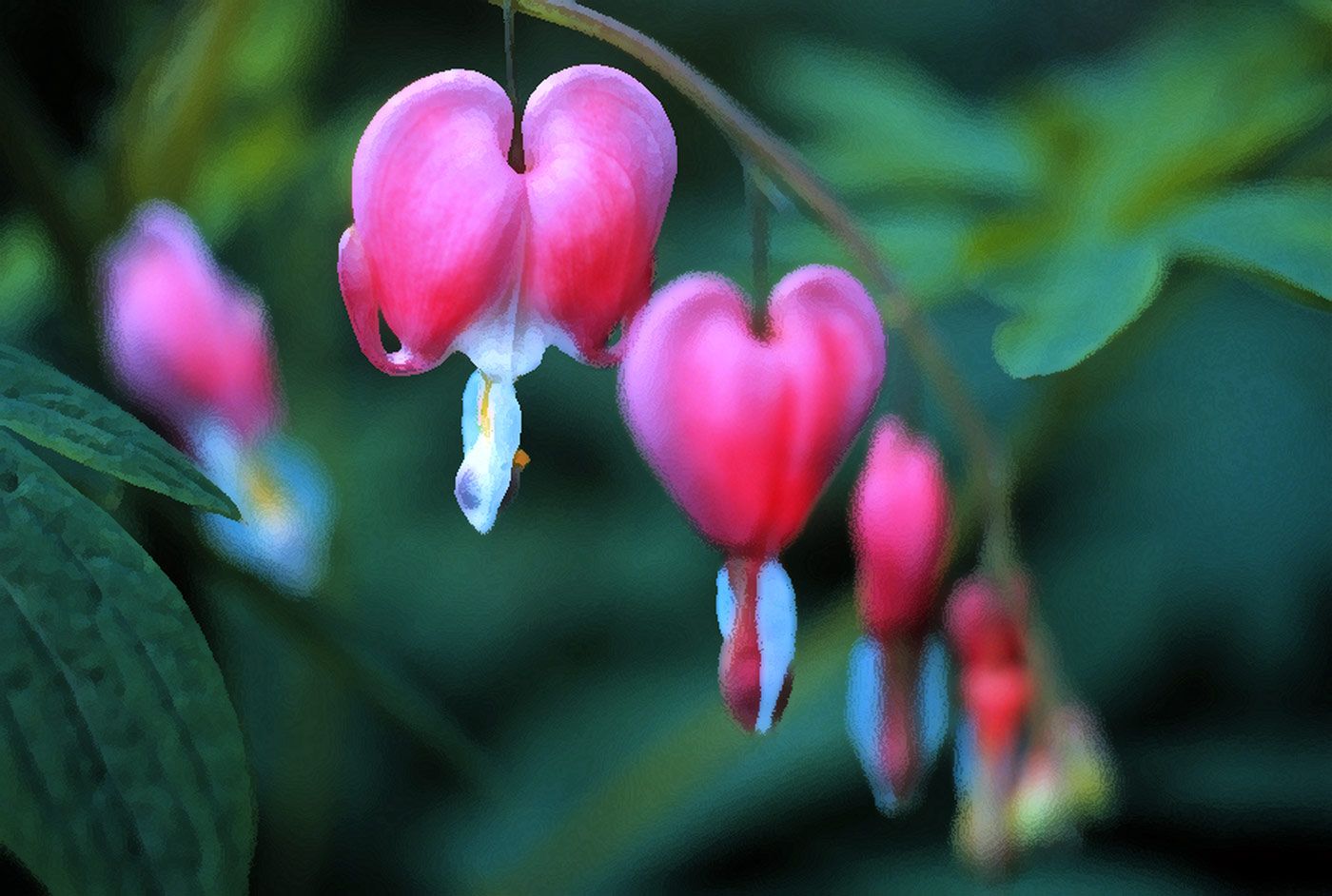 flower-heart-10x.jpg