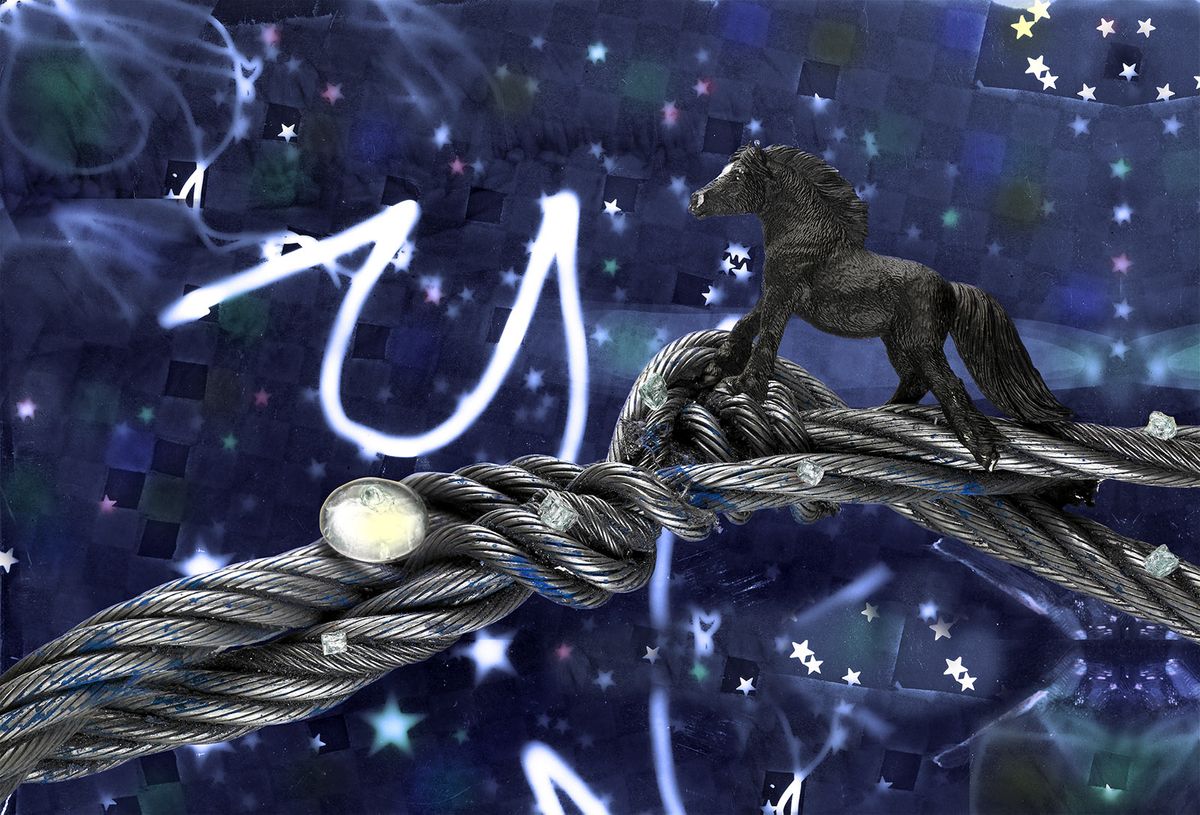horsey.1.Master..jpg