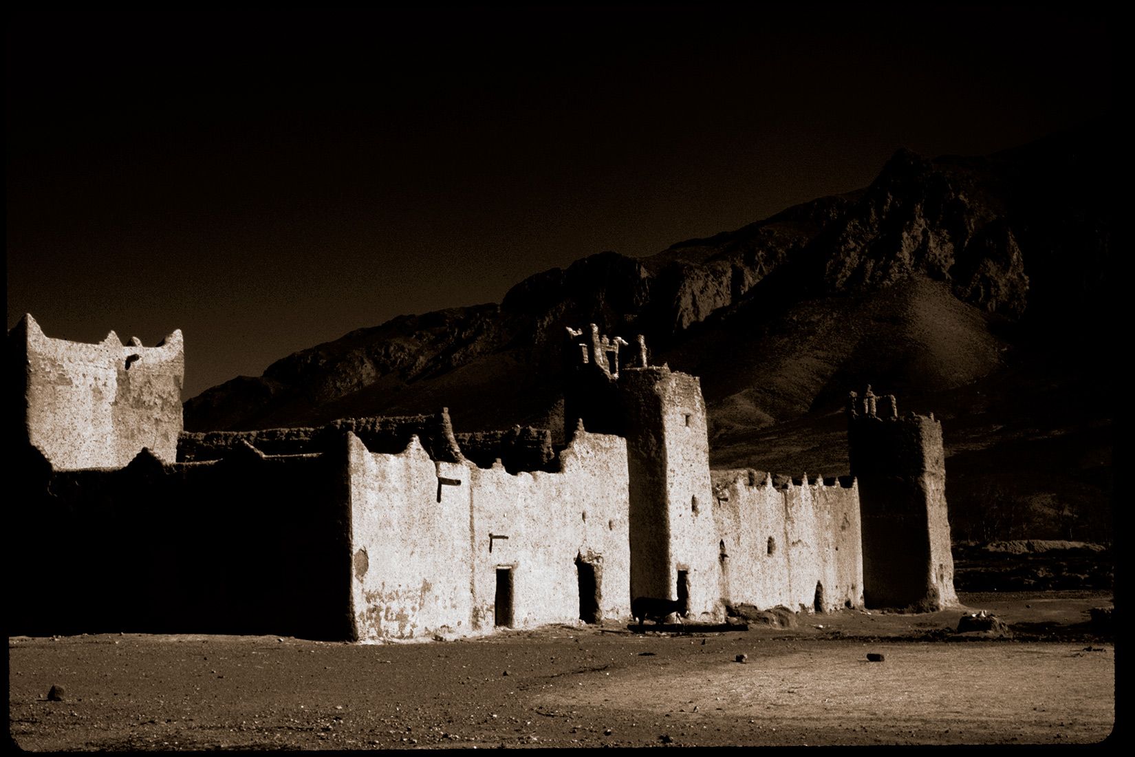 donkey-town-mor-dX.jpg