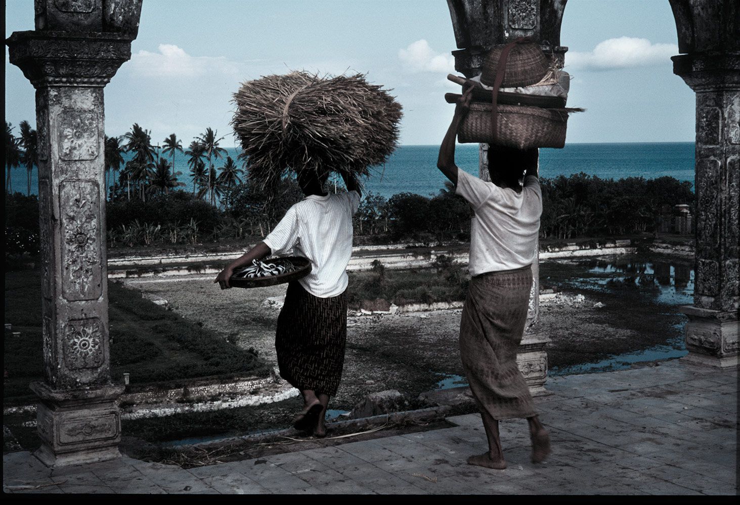 bali-hay-camera-Edit.jpg