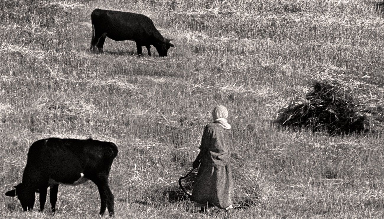 field-women-Edit.jpg