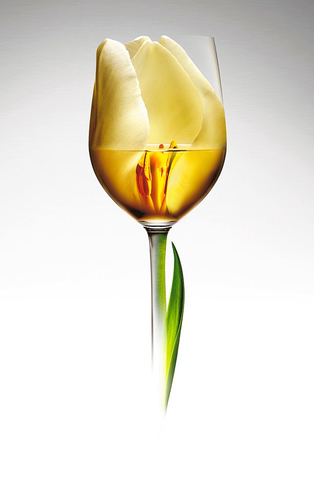 TULIP GLASS.JPG