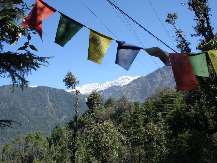 1Dave_s_trip_to_India_07__22_