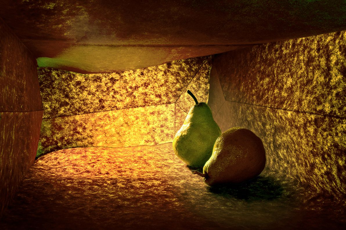 Pears in Bag