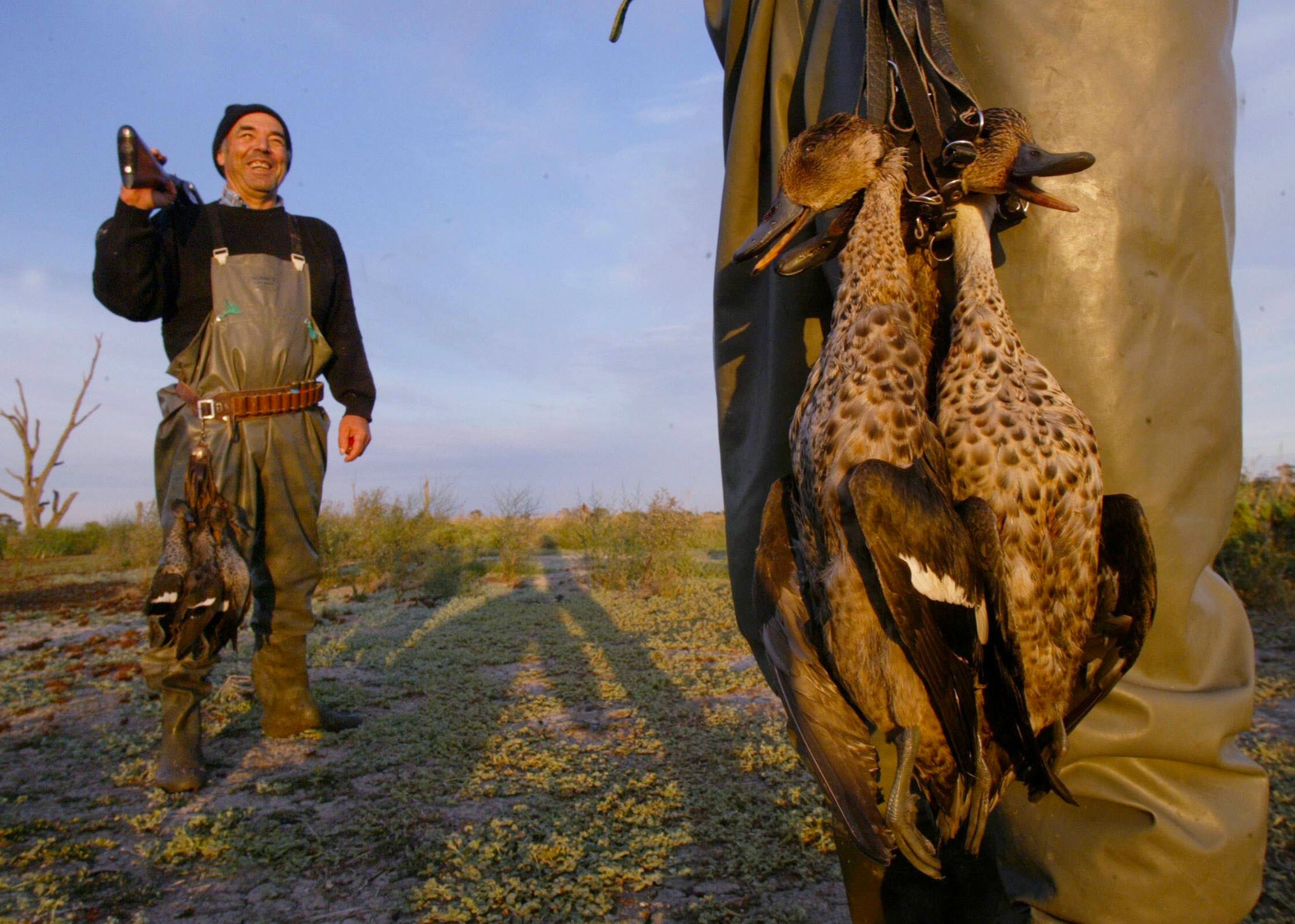 DUCK SHOOTING-114237.JPG