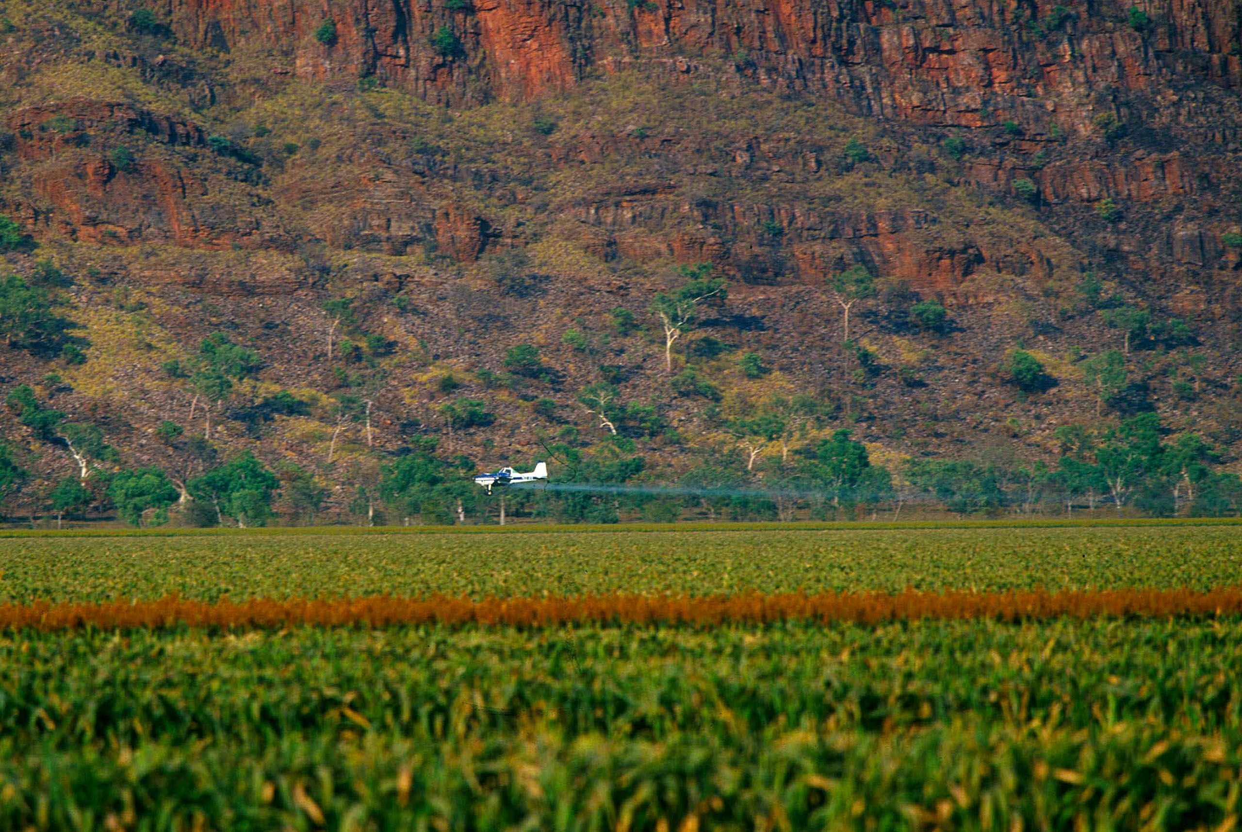 20011023 NEWSGALLERY-374838A.JPG