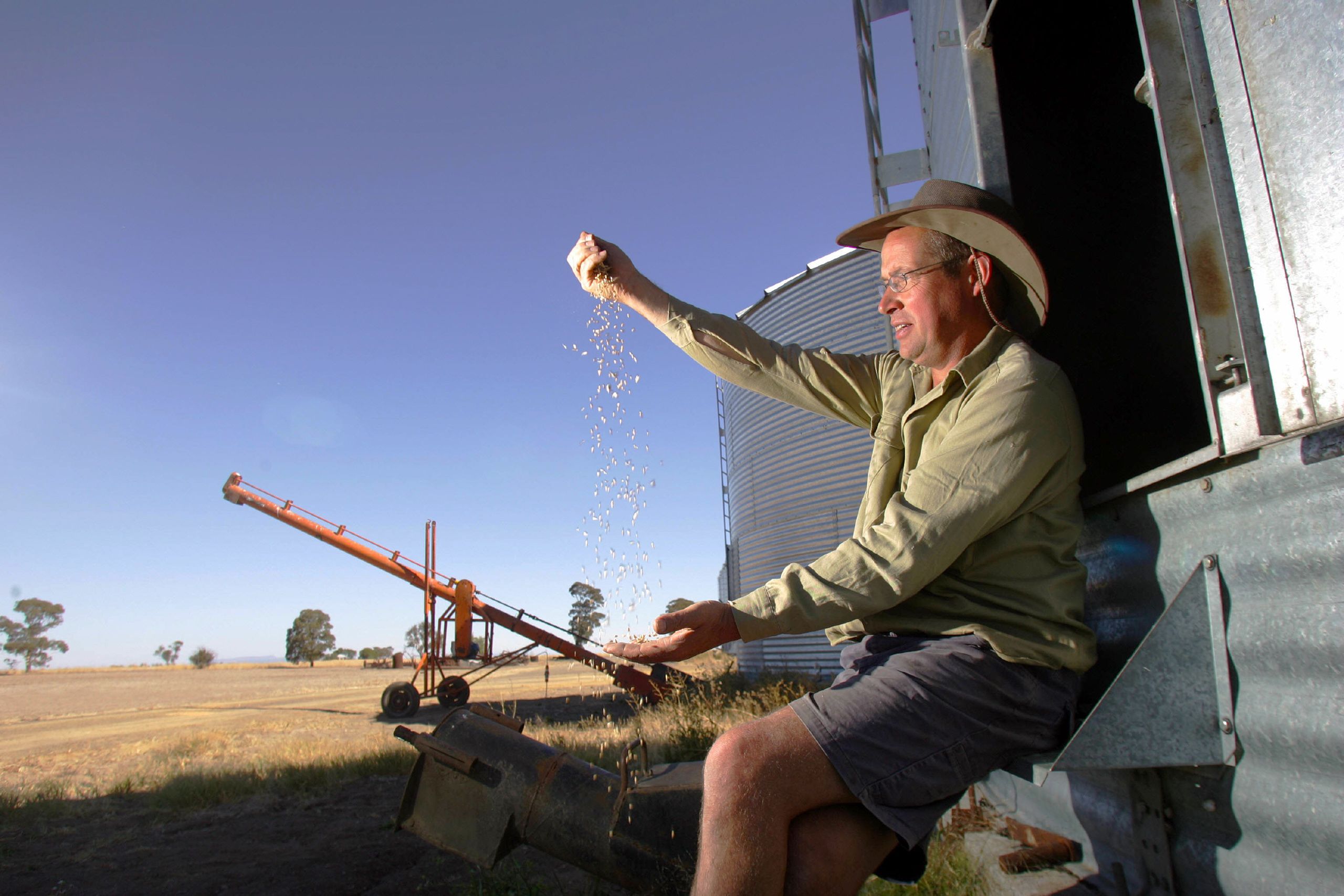 WHEAT FARMER-584137.JPG
